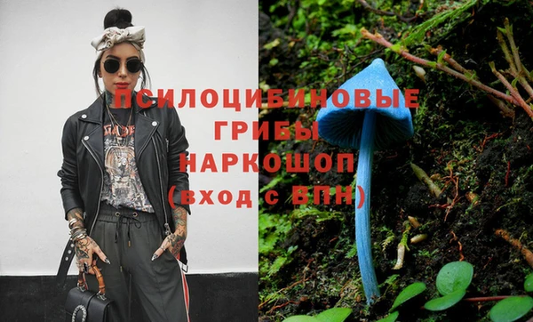 кокс Покачи